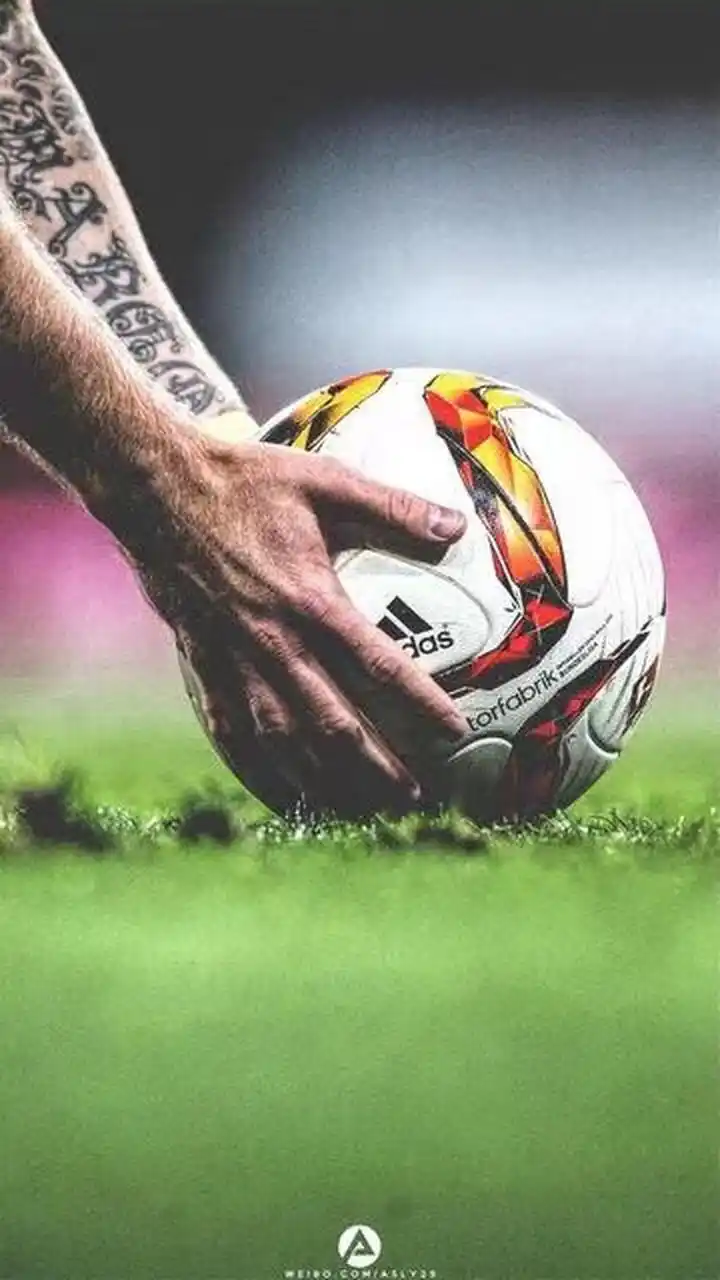 的激励因素 的激励因素