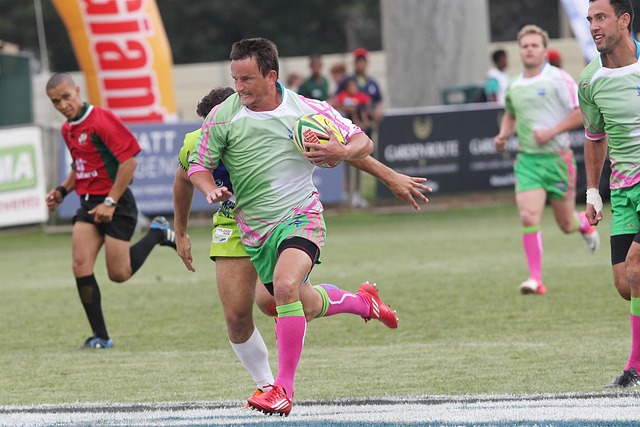 会也许不会 会也许不会